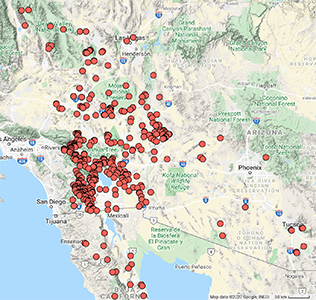 Phoradendron californicum map: CCH2
